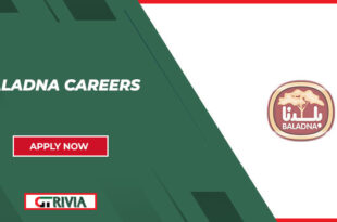 Baladna Careers