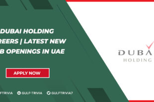 Dubai Holding Careers